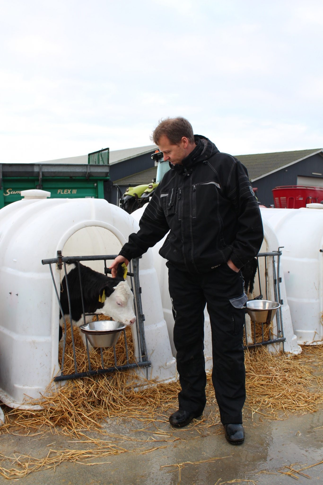 Gammelbygaard Farm, Denmark ProCROSS the most efficient cross breeding system for dairy cows