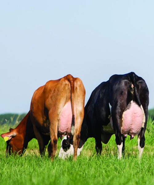 Els Korsten Fotografie0035_CMYK Els Korsten Fotografie0035_CMYK